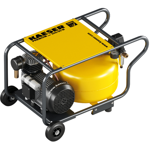 PREMIUM CAR 300/30 230/1/50