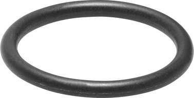 Dichtung SASF-FW-S-E